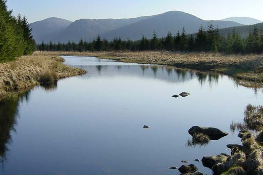 Energy Efficiency Solutions in East Ayrshire